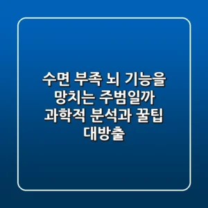 수면 부족 뇌 기능을 망치는 주범일까 과학적 분석과 꿀팁 대방출