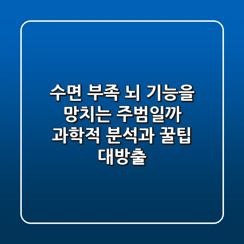 수면 부족 뇌 기능을 망치는 주범일까 과학적 분석과 꿀팁 대방출