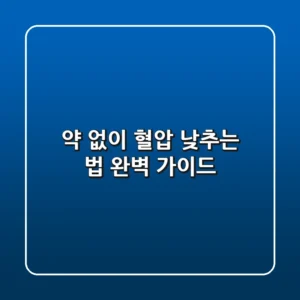 약 없이 혈압 낮추는 법, 완벽 가이드!