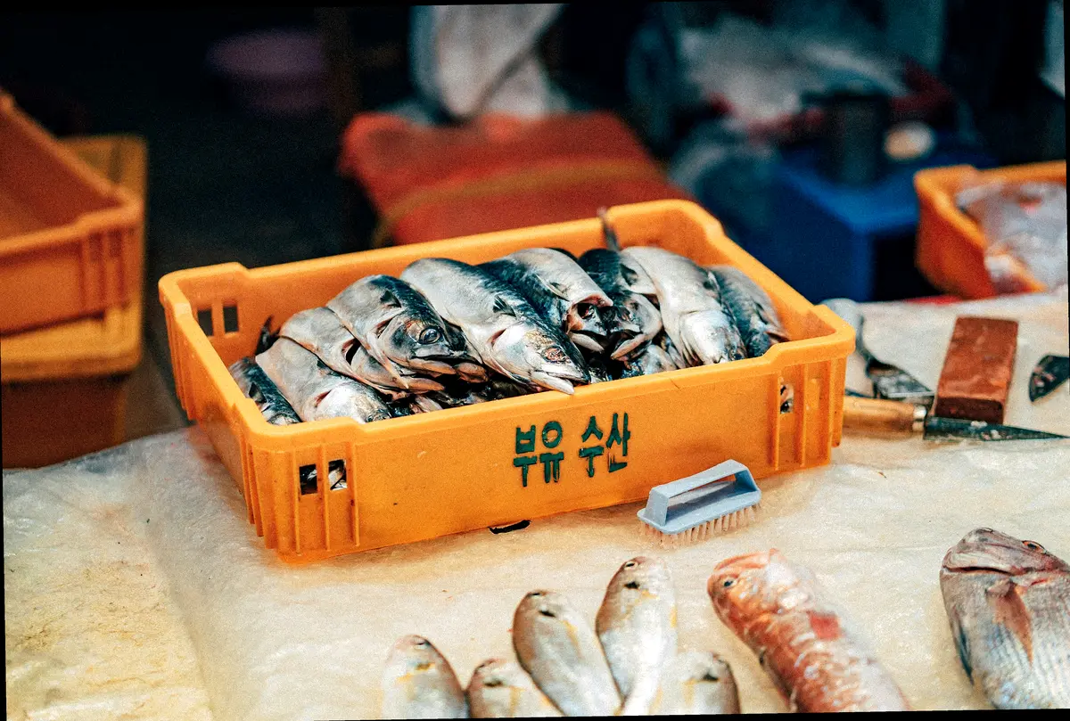 고래회충증, 이렇게 치료해요!