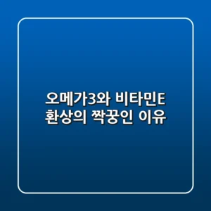 오메가3와 비타민E, 환상의 짝꿍인 이유 ✨