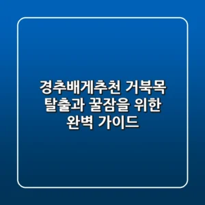 경추배게추천: 거북목 탈출과 꿀잠을 위한 완벽 가이드