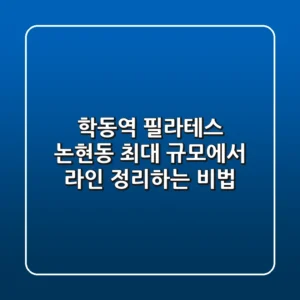 학동역 필라테스: 논현동 최대 규모에서 라인 정리하는 비법