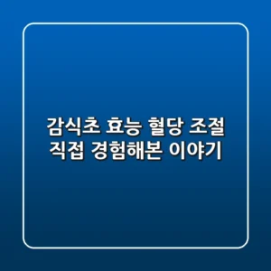 감식초 효능: 혈당 조절, 직접 경험해본 이야기