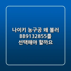 나이키 농구공, 왜 볼러 BB9132-855를 선택해야 할까요?