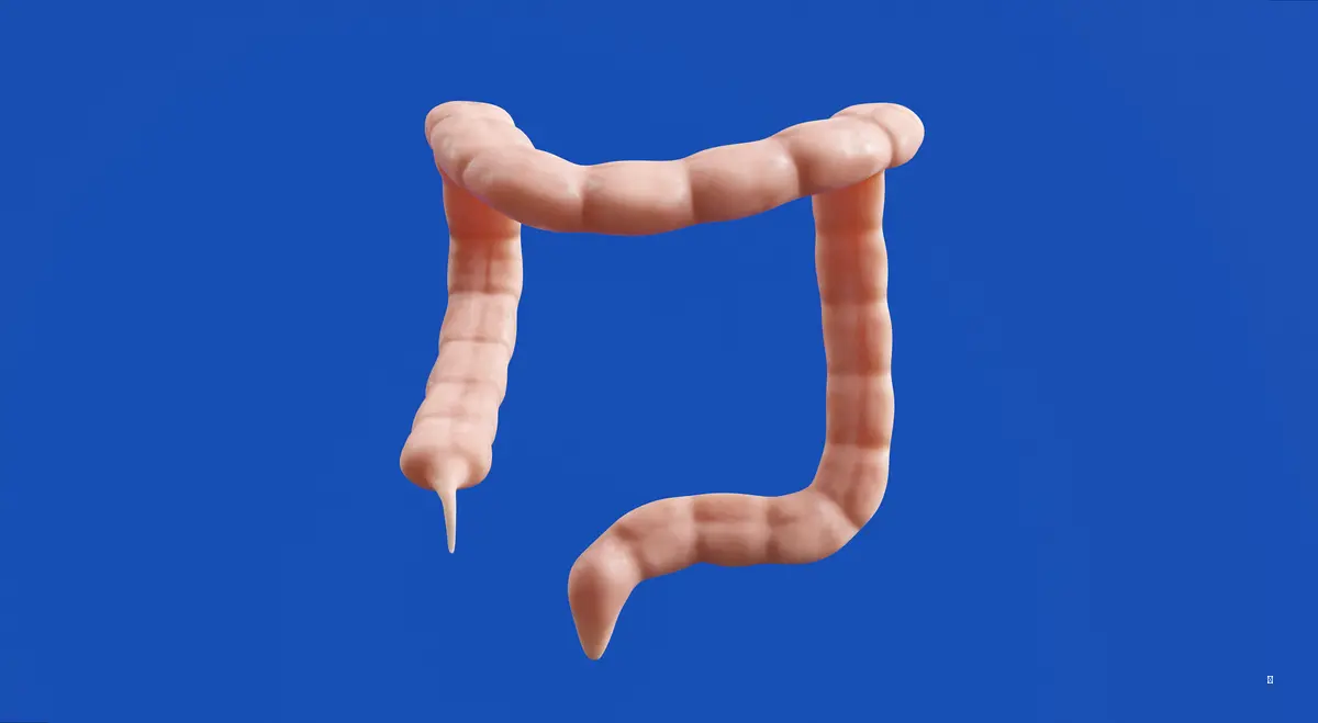 보험사, 왜 손해사정사를 싫어할까요?