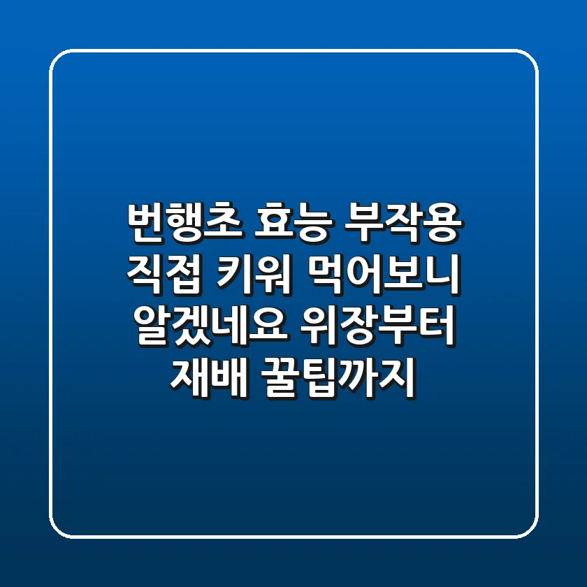 번행초 효능, 부작용? 직접 키워 먹어보니 알겠네요! 위장부터 재배 꿀팁까지