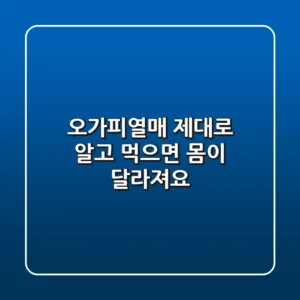 오가피열매, 제대로 알고 먹으면 몸이 달라져요!