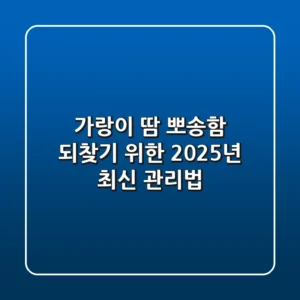 가랑이 땀, 뽀송함 되찾기 위한 2025년 최신 관리법