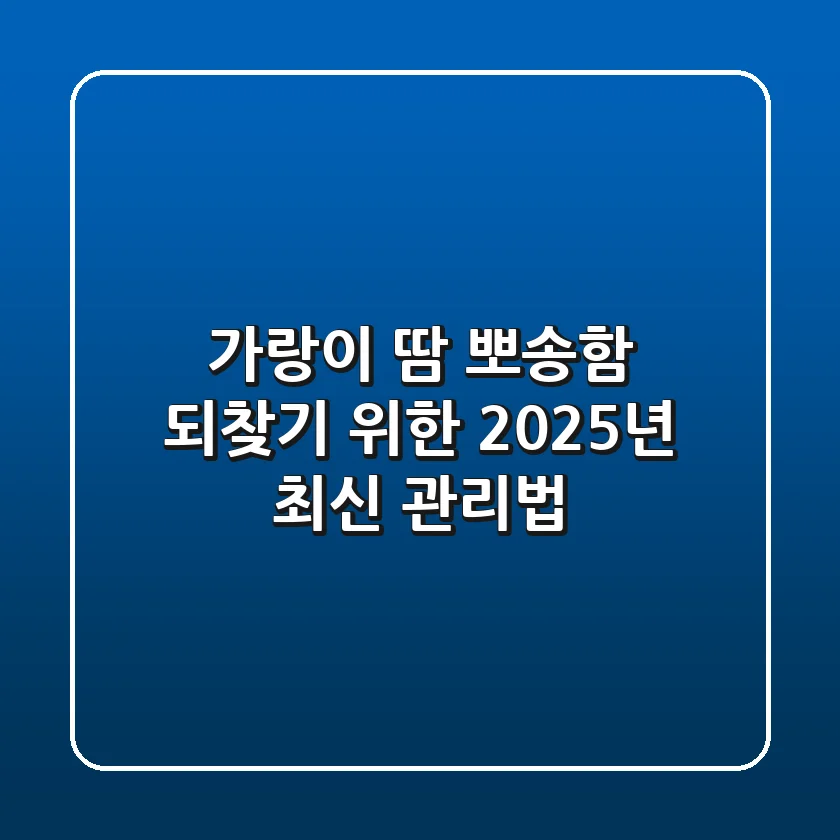 가랑이 땀, 뽀송함 되찾기 위한 2025년 최신 관리법