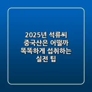2025년 석류씨, 중국산은 어떨까? 똑똑하게 섭취하는 실전 팁