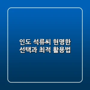인도 석류씨: 현명한 선택과 최적 활용법