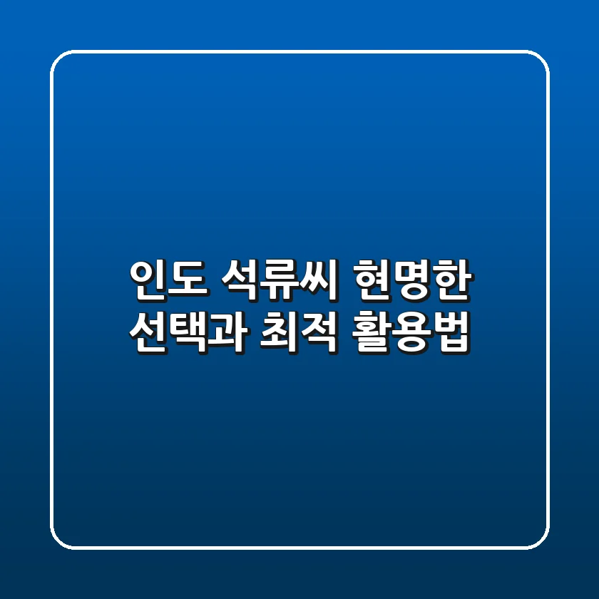 인도 석류씨: 현명한 선택과 최적 활용법
