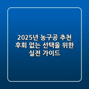 2025년 농구공 추천: 후회 없는 선택을 위한 실전 가이드