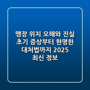 맹장 위치 오해와 진실: 초기 증상부터 현명한 대처법까지 (2025 최신 정보)