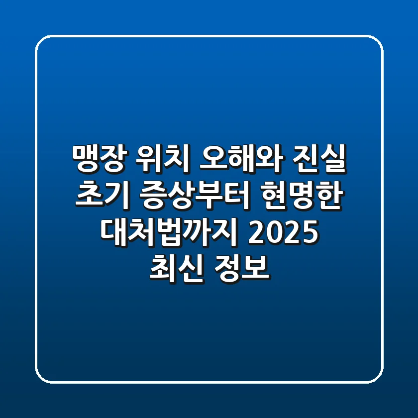 맹장 위치 오해와 진실: 초기 증상부터 현명한 대처법까지 (2025 최신 정보)