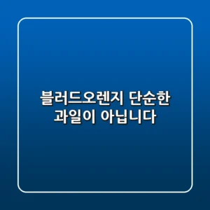 블러드오렌지, 단순한 과일이 아닙니다