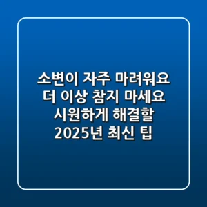 소변이 자주 마려워요? 더 이상 참지 마세요! 시원하게 해결할 2025년 최신 팁