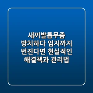 새끼발톱무좀, 방치하다 엄지까지 번진다면? 현실적인 해결책과 관리법