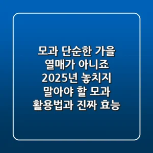 모과, 단순한 가을 열매가 아니죠? 2025년 놓치지 말아야 할 모과 활용법과 진짜 효능!