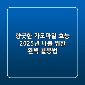 향긋한 카모마일 효능, 2025년 나를 위한 완벽 활용법!