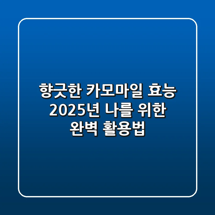 향긋한 카모마일 효능, 2025년 나를 위한 완벽 활용법!