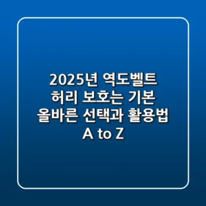 2025년 역도벨트, 허리 보호는 기본! 올바른 선택과 활용법 A to Z
