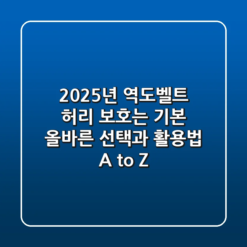 2025년 역도벨트, 허리 보호는 기본! 올바른 선택과 활용법 A to Z