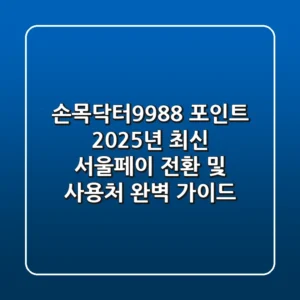 손목닥터9988 포인트, 2025년 최신 서울페이 전환 및 사용처 완벽 가이드