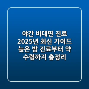 "야간 비대면 진료 2025년 최신 가이드", 늦은 밤 진료부터 약 수령까지 총정리