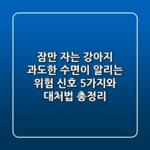 "잠만 자는 강아지", 과도한 수면이 알리는 위험 신호 5가지와 대처법 총정리