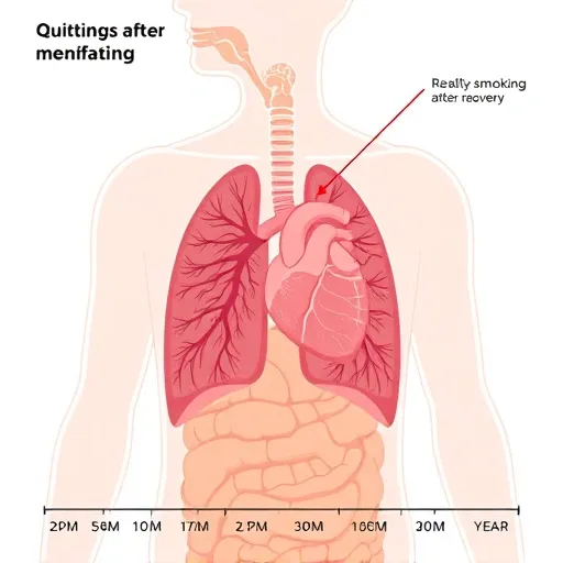 ④ 니코틴 중독을 극복하는 전문 금연 솔루션과 의료 기관 활용