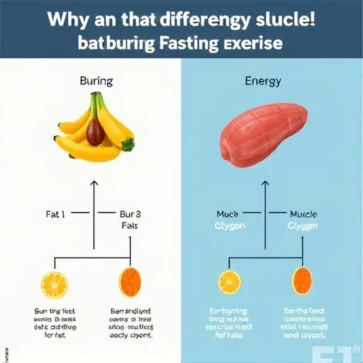 다이어트 성공의 핵심: 기초대사량 사수와 대사 저하 방지