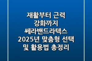 “재활부터 근력 강화까지”, 쎄라밴드라텍스 2025년 맞춤형 선택 및 활용법 총정리